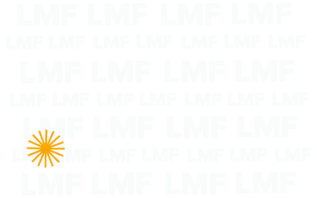 Lviv Media Forum фон