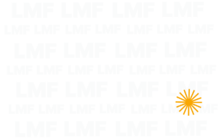 Lviv Media Forum фон